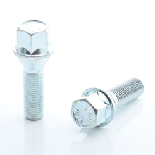 Load image into Gallery viewer, Set of 20 HEX17 tapered bolt M12x1,5 x28mm Silver