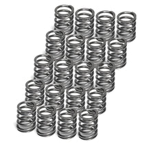 Carica l&#39;immagine nel visualizzatore di Gallery, SuperTech Valve Springs for 2.5 TFSI EA855 EVO - RTMG Performance